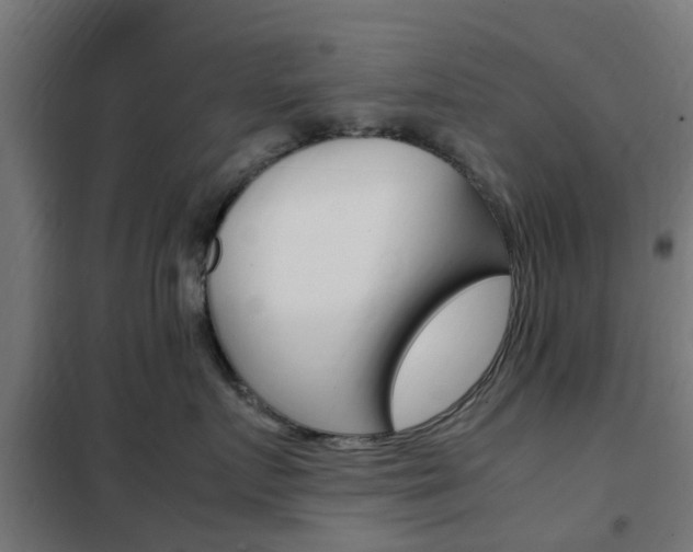 X0000102250719200807250901