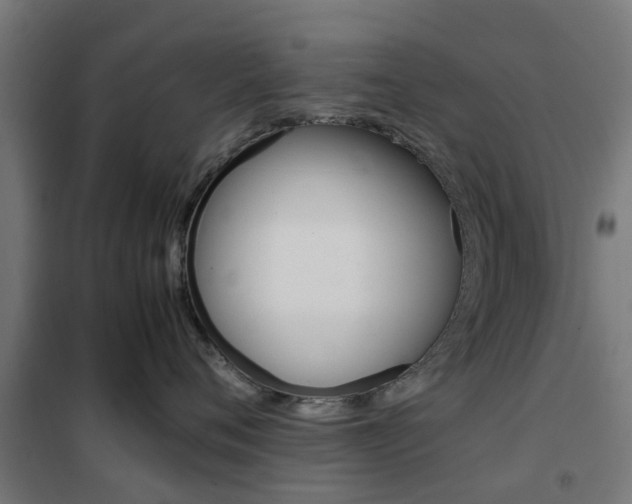 X0000102250720200807250901