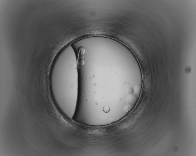 X0000102250721200807250900