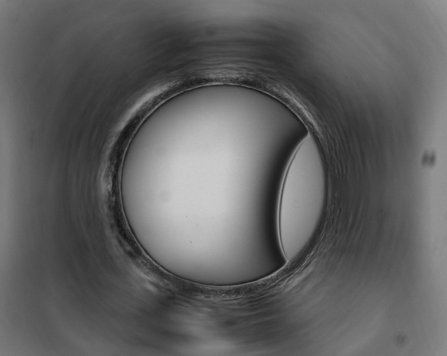 X0000102250723200807250900
