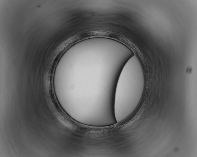 X0000102250725200807250900