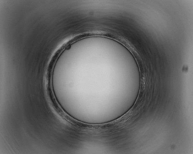 X0000102250726200807250900