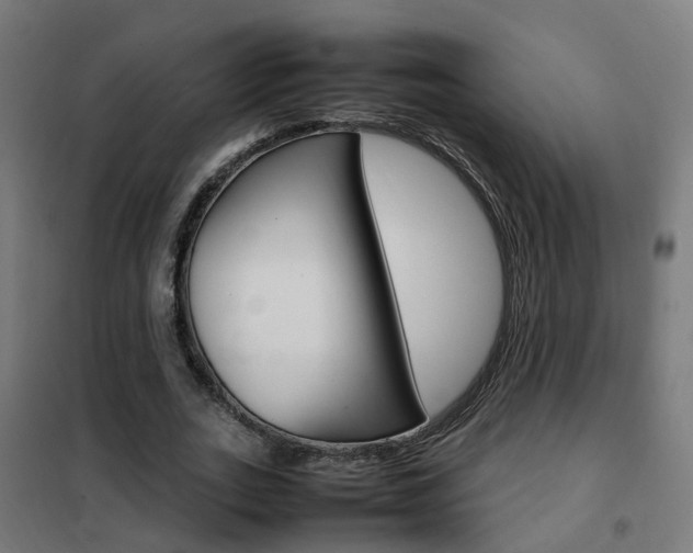 X0000102250727200807250900