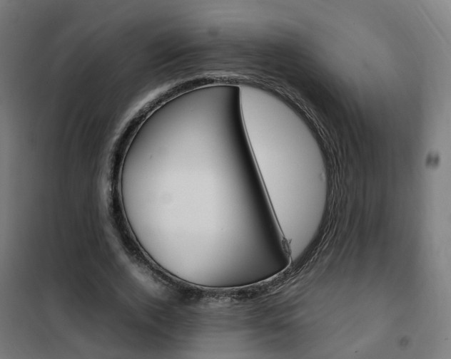 X0000102250728200807250900
