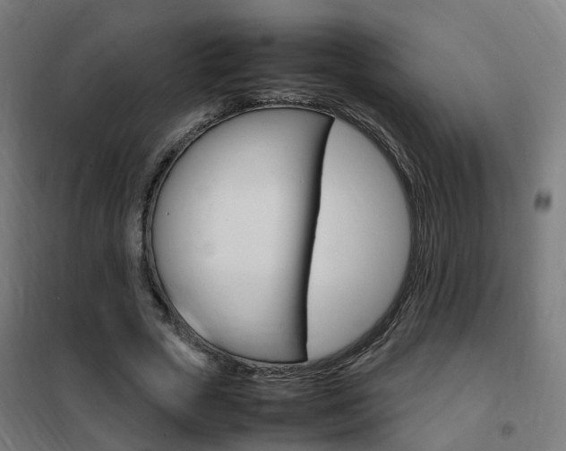 X0000102250729200807250900