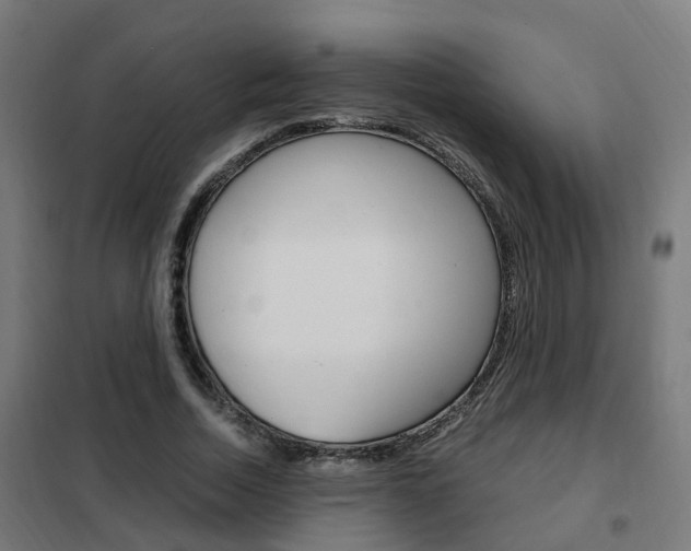 X0000102250730200807250900