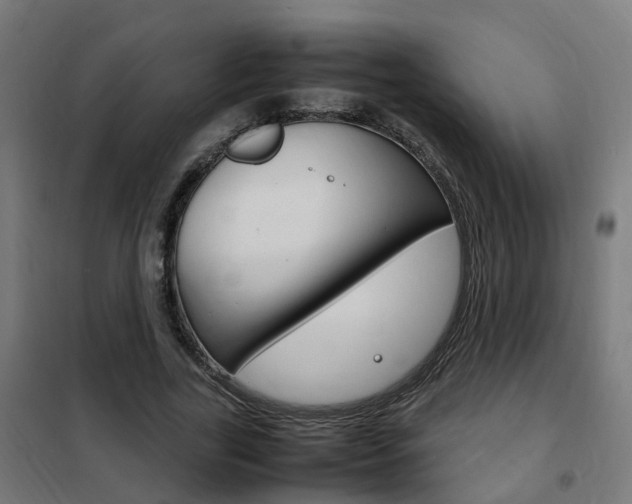 X0000102250731200807250900