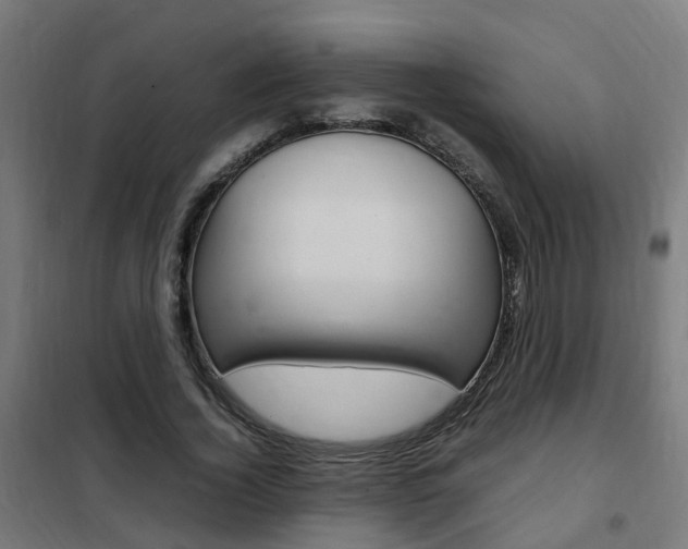 X0000102250732200807250900
