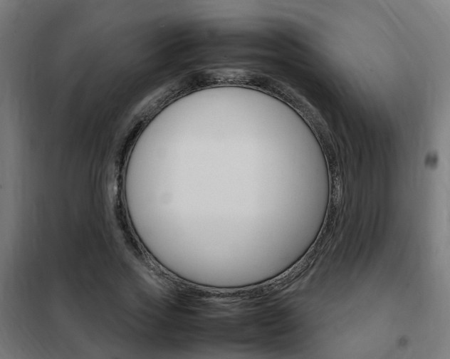 X0000102250733200807250900
