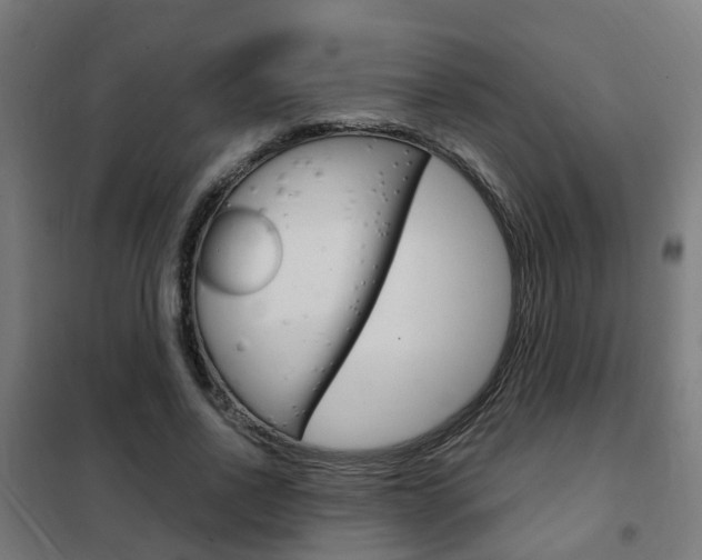 X0000102250734200807250900
