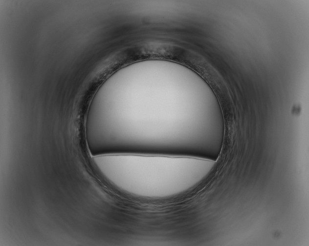 X0000102250735200807250900