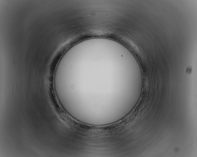 X0000102250736200807250900