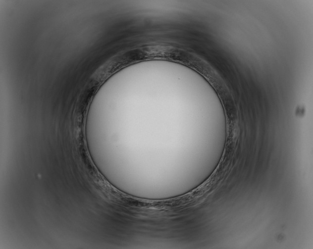 X0000102250737200807250900