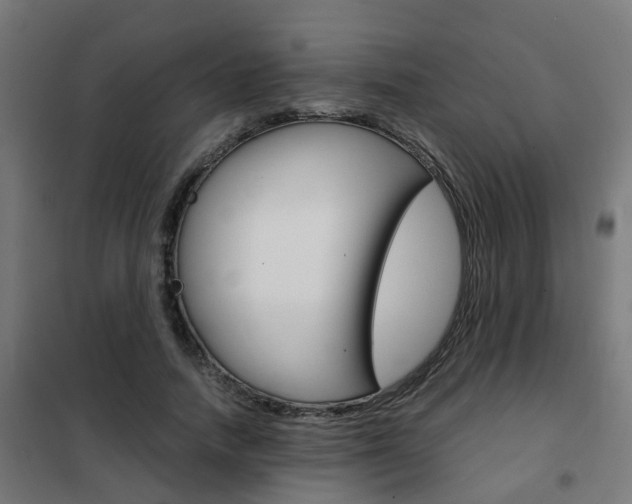 X0000102250738200807250900