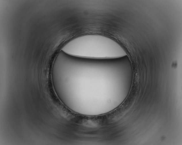 X0000102250739200807250900