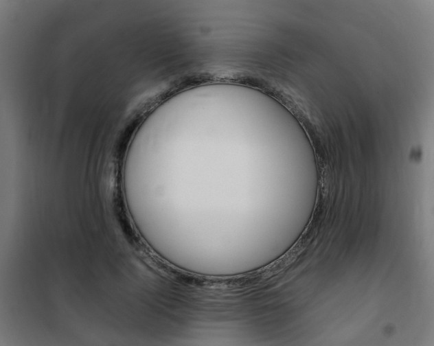 X0000102250740200807250900
