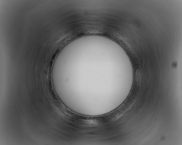 X0000102250741200807250900