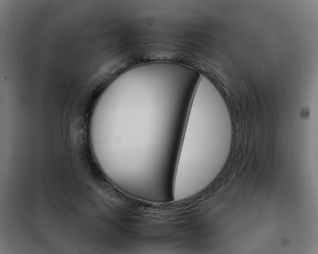 X0000102250743200807250900