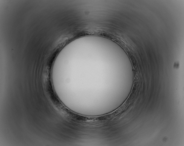X0000102250744200807250900