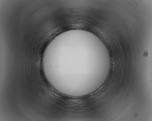 X0000102250745200807250900