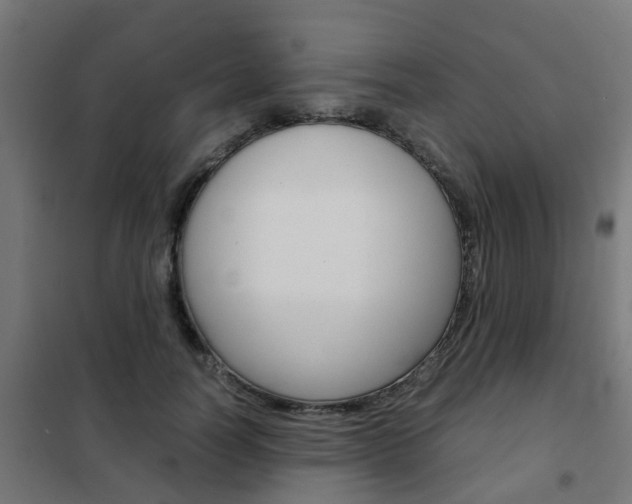 X0000102250746200807250900