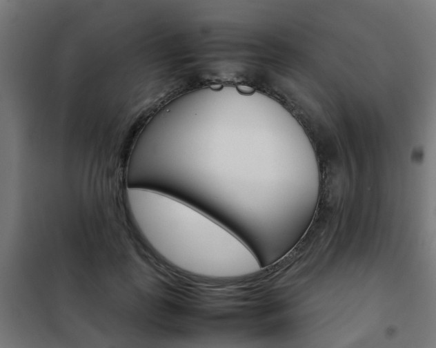 X0000102250747200807250900