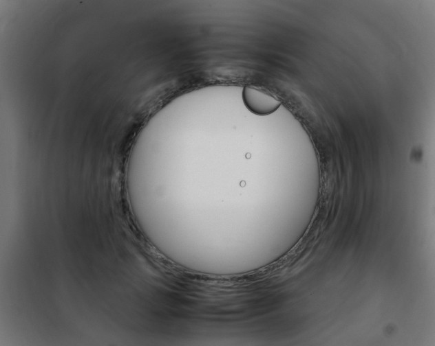 X0000102250749200807250900