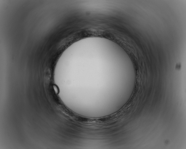 X0000102250752200807250900