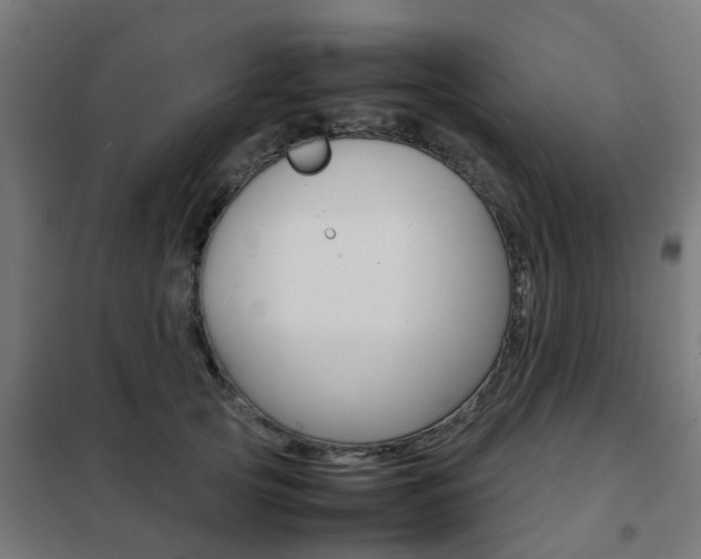 X0000102250753200807250900