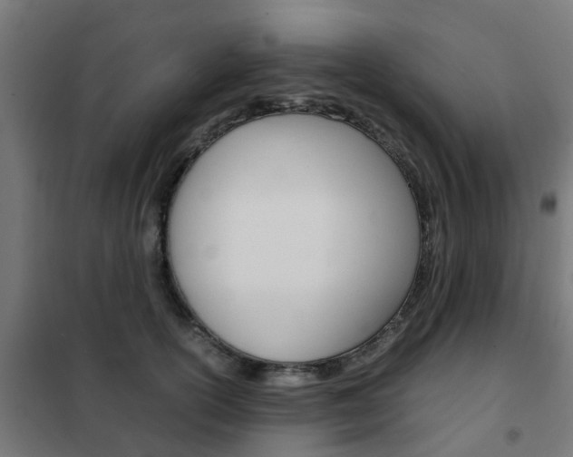 X0000102250754200807250900