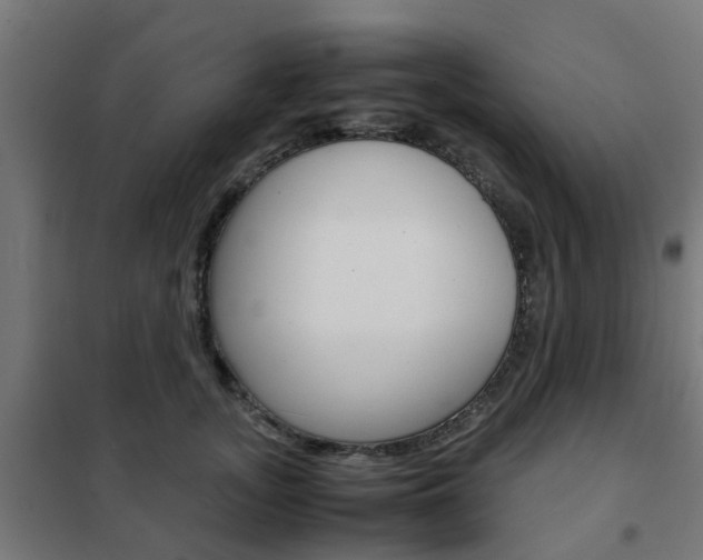 X0000102250755200807250901
