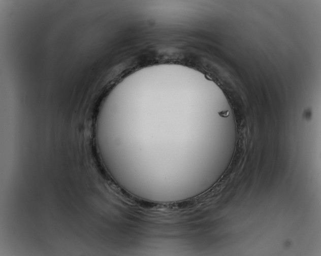 X0000102250756200807250901