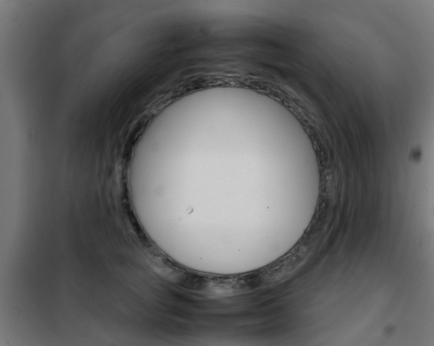 X0000102250757200807250901