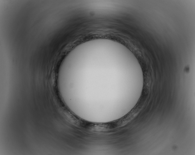 X0000102250758200807250901