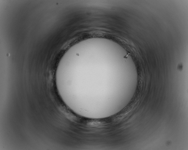 X0000102250759200807250901