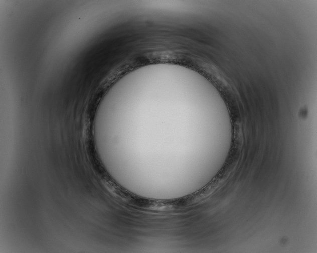 X0000102250760200807250901