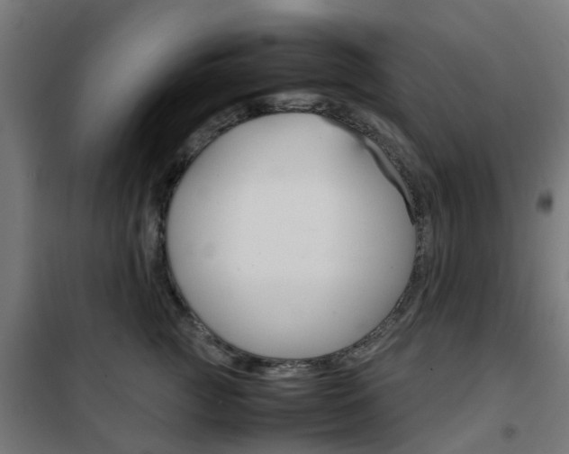 X0000102250761200807250901
