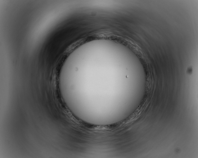 X0000102250762200807250901