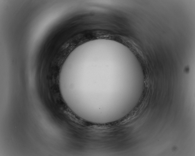 X0000102250763200807250901