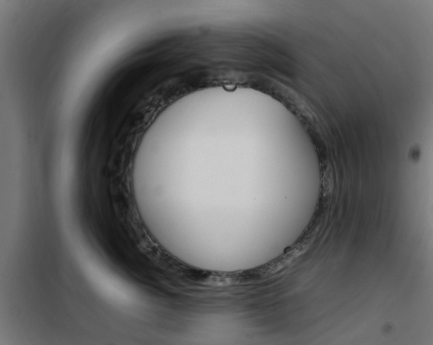 X0000102250764200807250901