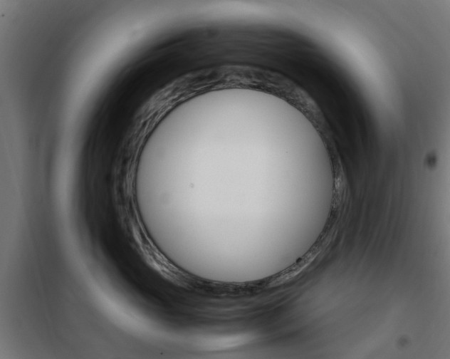 X0000102250765200807250901