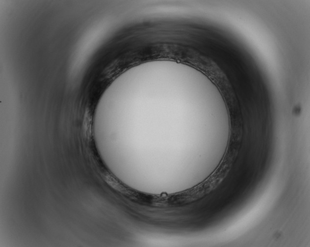 X0000102250766200807250901