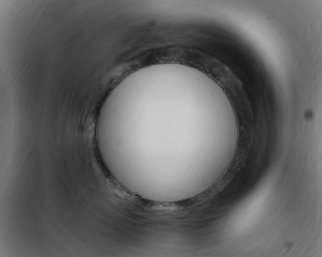 X0000102250767200807250901