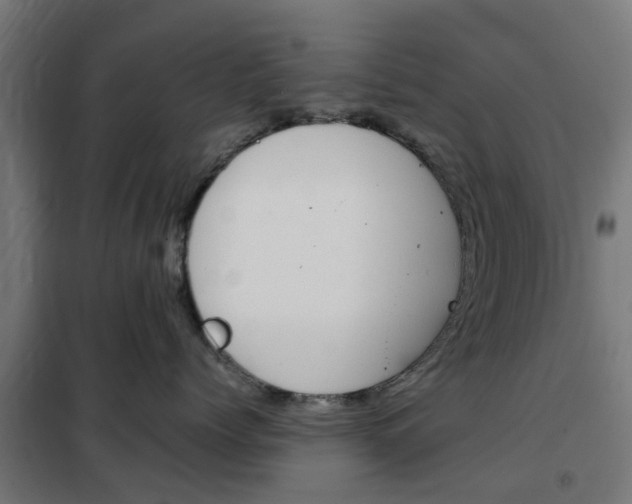 X0000102250768200807250901