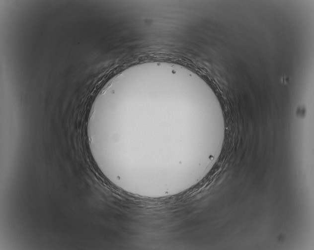 X0000102250769200807250900