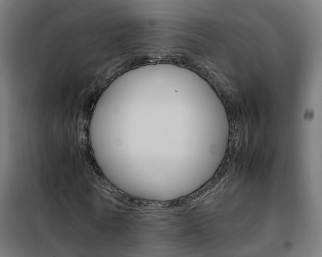 X0000102250770200807250900