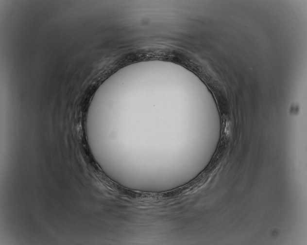 X0000102250771200807250900