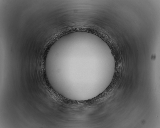 X0000102250772200807250900