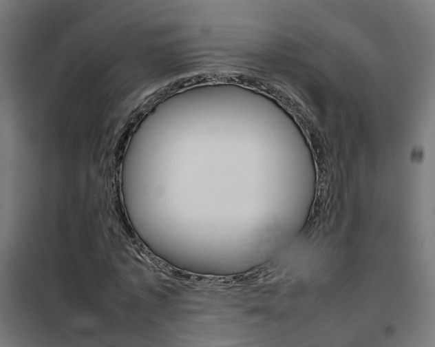 X0000102250773200807250900