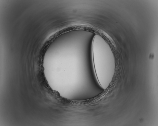 X0000102250775200807250900